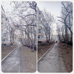 Санитарная обрезка деревьев в 12 округе у детского сада 